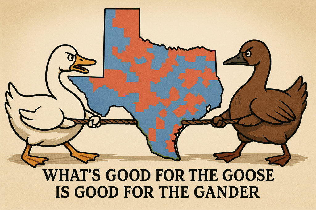 Texas GOP Gerrymanders Map, Blue States Prepare to Strike Back 1 A political cartoon shows a white goose and a brown gander in a tug-of-war over a Texas map split into red and blue districts, with the caption “WHAT’S GOOD FOR THE GOOSE IS GOOD FOR THE GANDER.