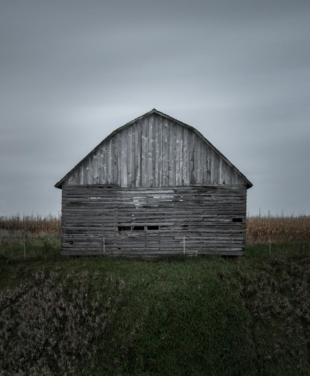 Urgent: Trump Trade War Hurting Missouri Farmers — My Day-One Plan to Start the Process of Fixing It